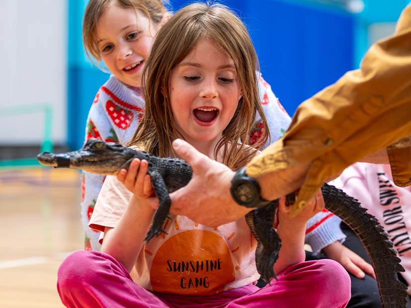 Reptile Petting Zoo